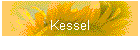 Kessel