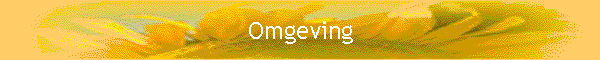 Omgeving