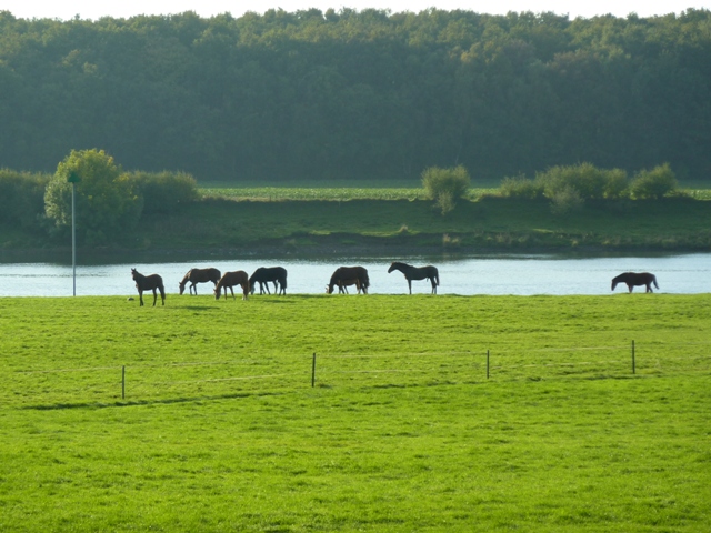 Langs de Maas naar Kessel